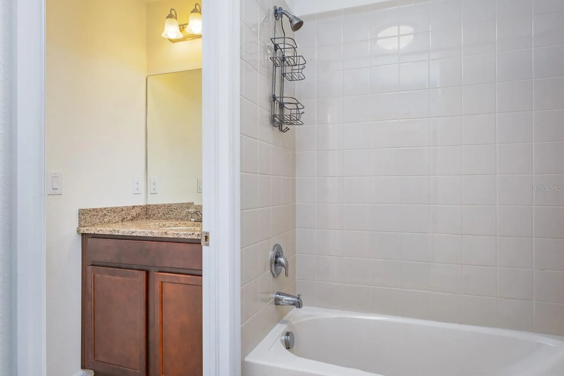 1653 Nature View Drive Lutz FL 33558