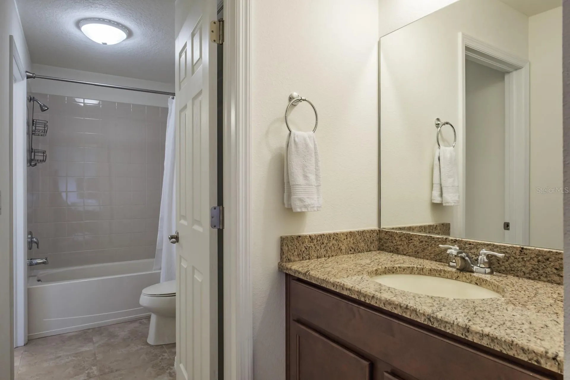 1653 Nature View Drive Lutz FL 33558