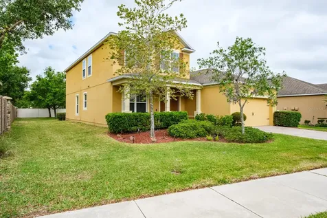 1653 Nature View Drive Lutz FL 33558