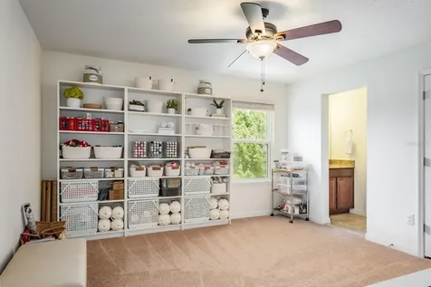 1653 Nature View Drive Lutz FL 33558