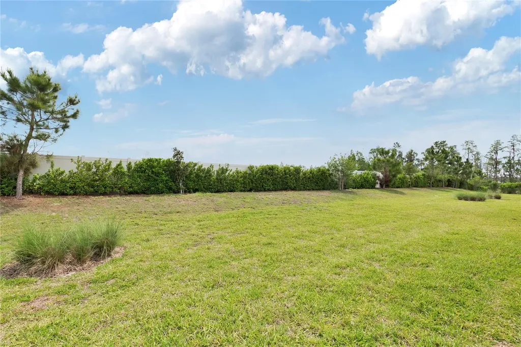 5997 Shorebird Branch Land O Lakes FL 34638