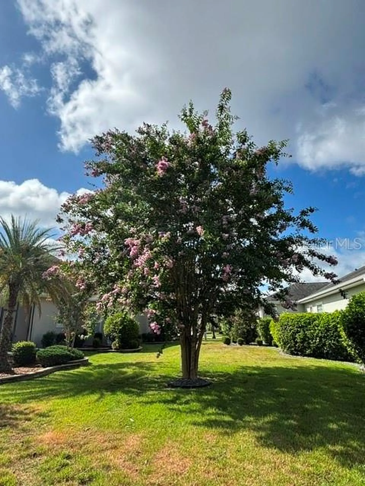 2254 Isleworth Circle The Villages FL 32163