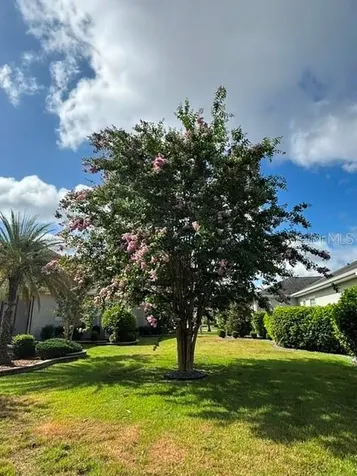 2254 Isleworth Circle The Villages FL 32163