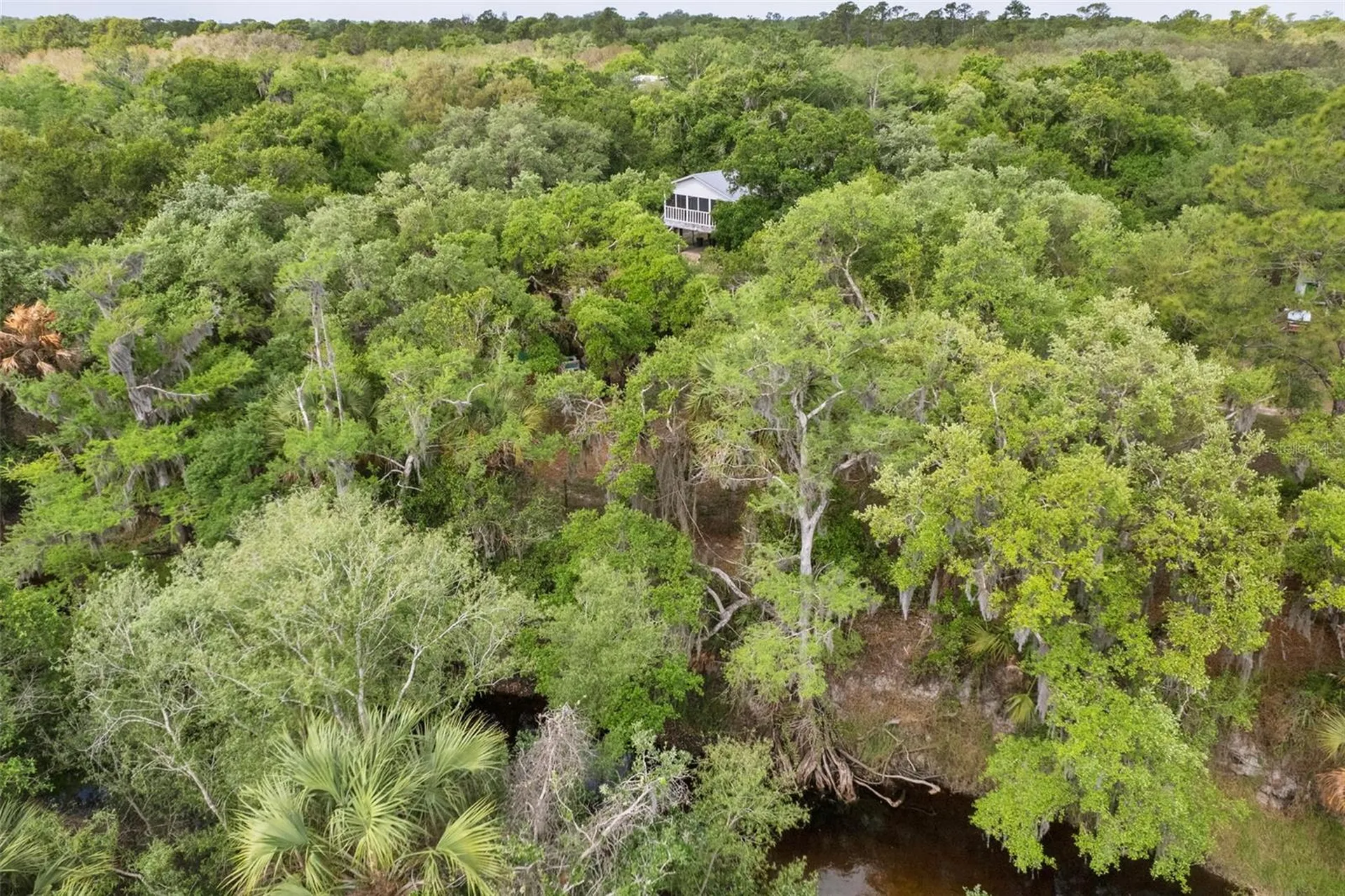8096 SW Golden Glade Avenue Arcadia FL 34266