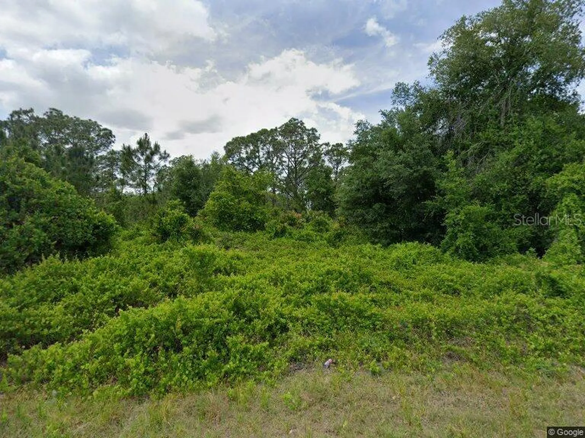 315 Johnson Avenue NE Lake Placid FL 33852