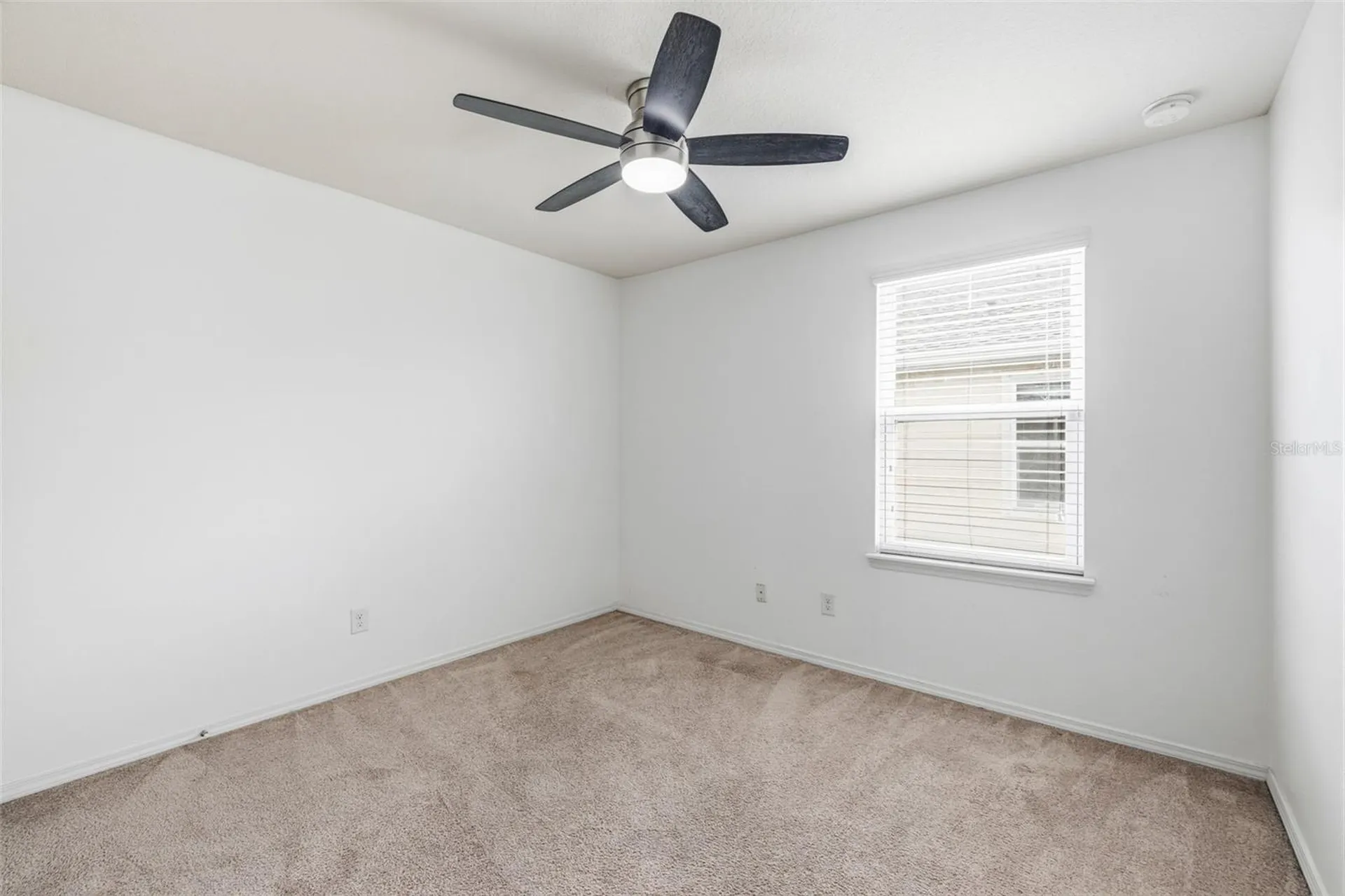 9341 American Hickory Lane Riverview FL 33578