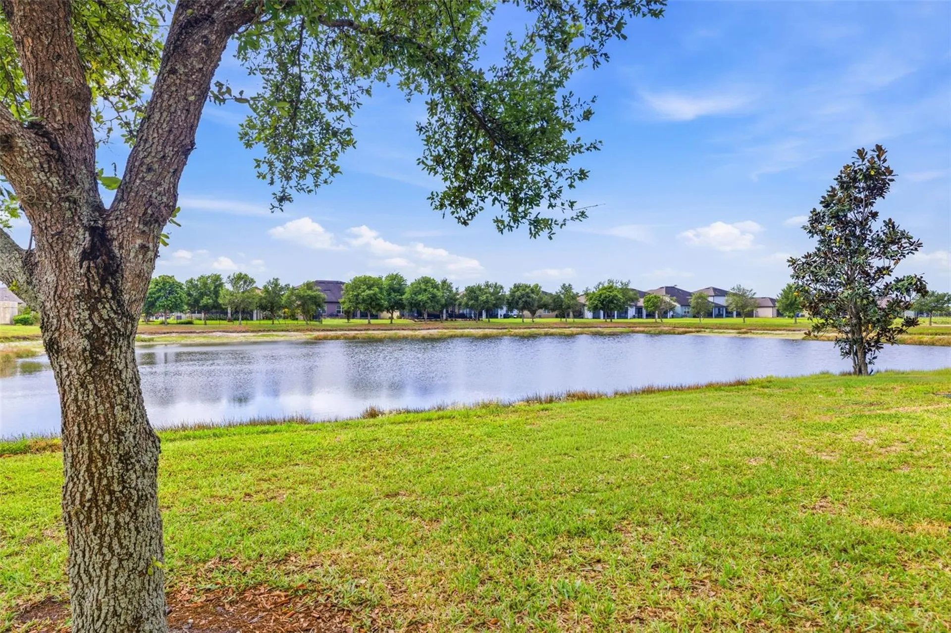 9341 American Hickory Lane Riverview FL 33578