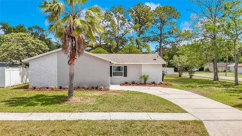 14031 Arbor Knoll Circle Tampa FL 33625