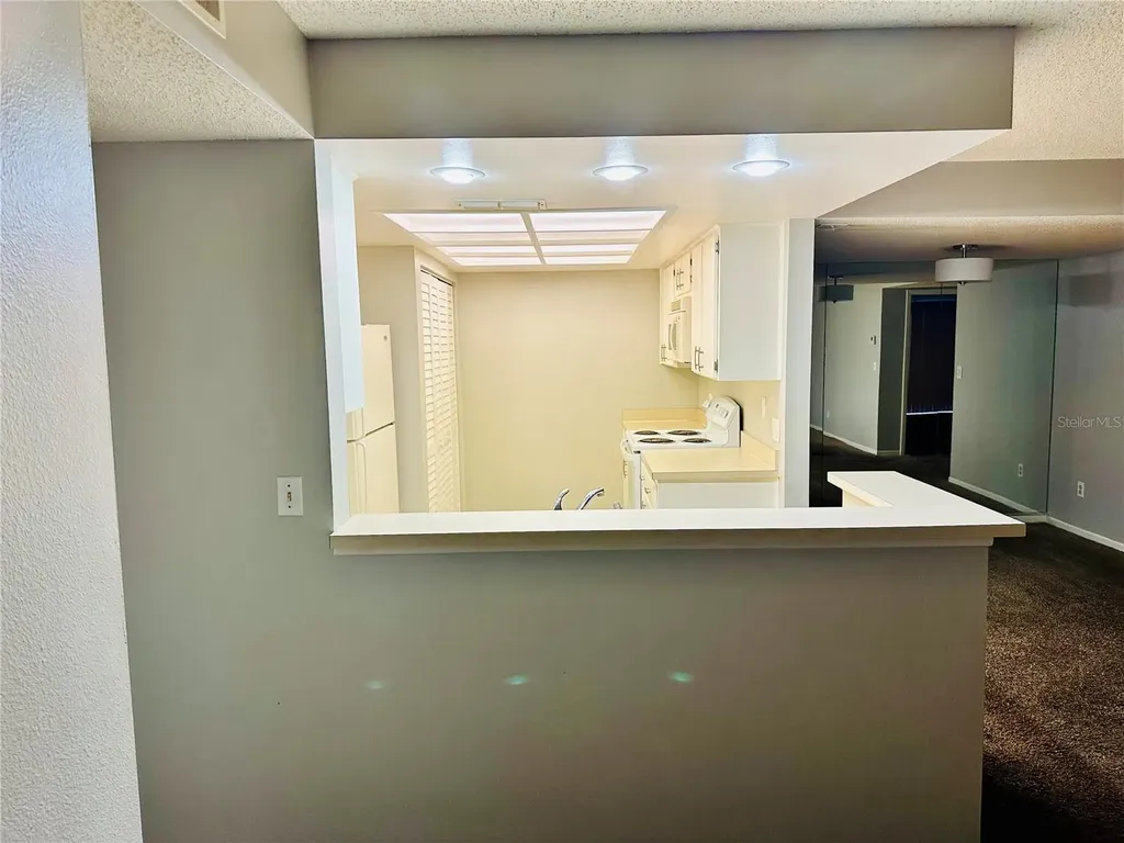 13610 S Village Drive Tampa FL 33618