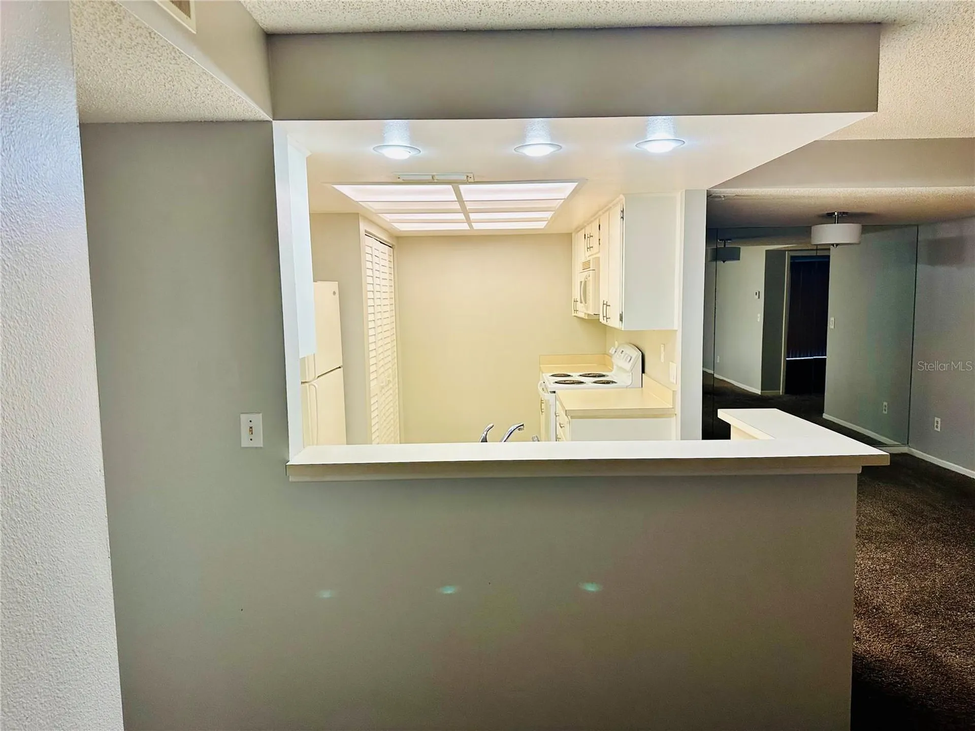 13610 S Village Drive Tampa FL 33618