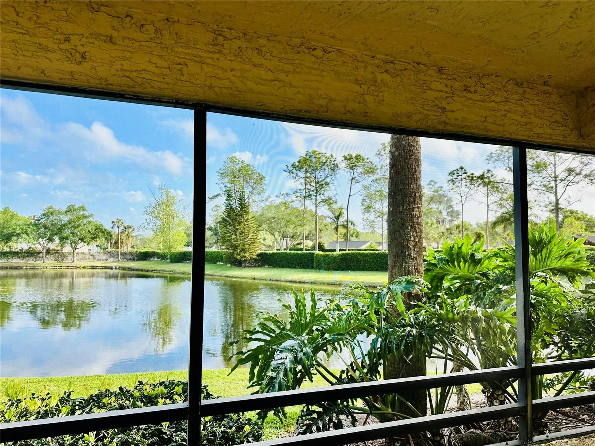 13610 S Village Drive Tampa FL 33618