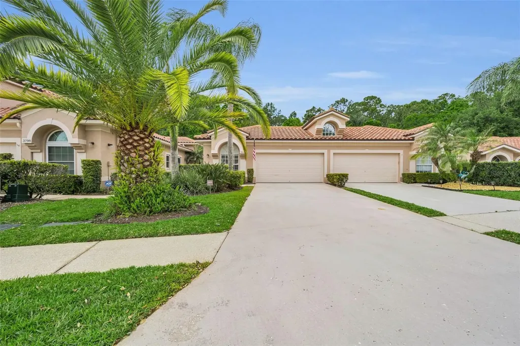 3802 Darston Street Palm Harbor FL 34685