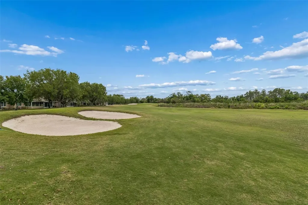 2006 Grantham Greens Drive Sun City Center FL 33573