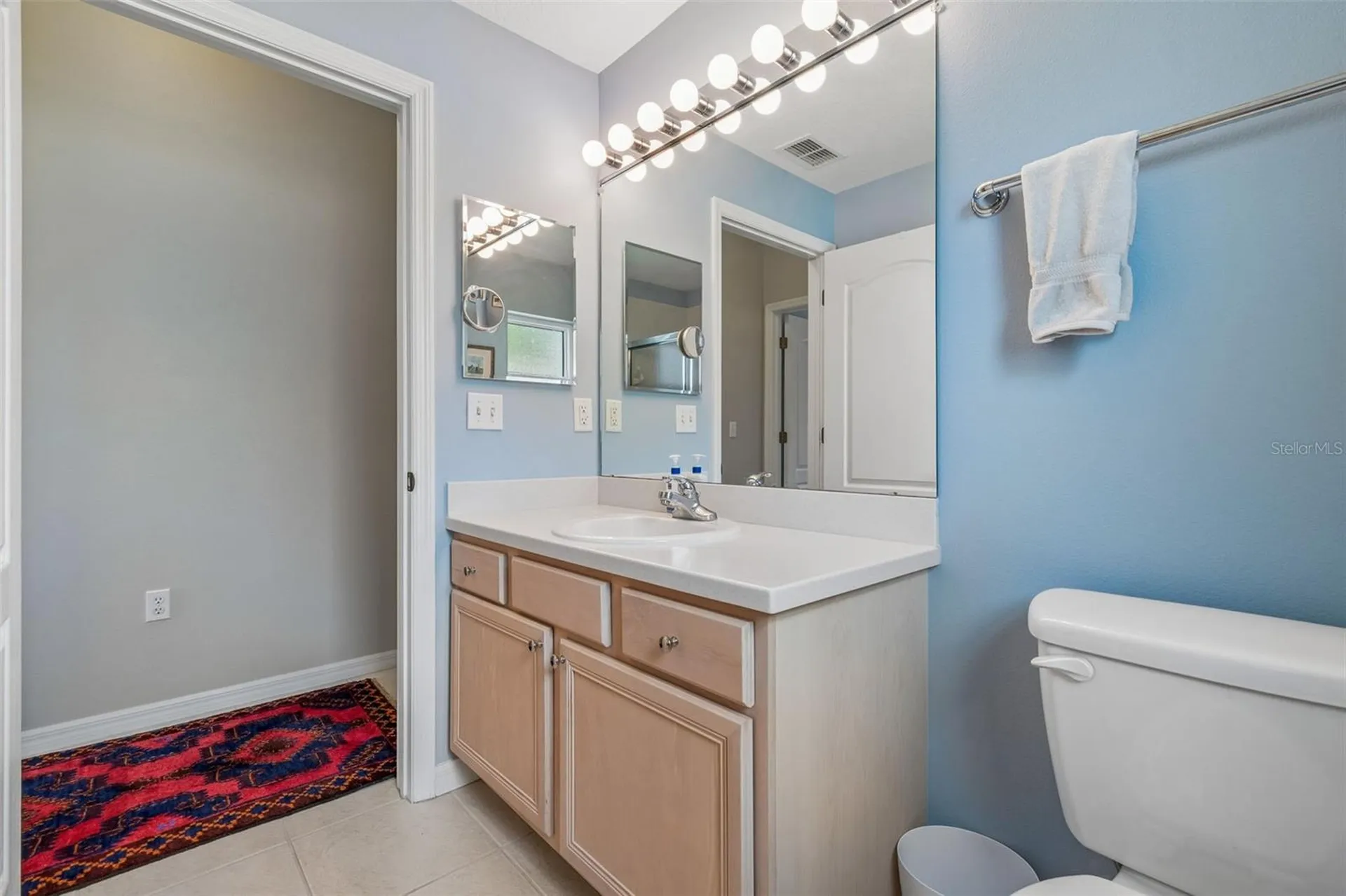 2006 Grantham Greens Drive Sun City Center FL 33573