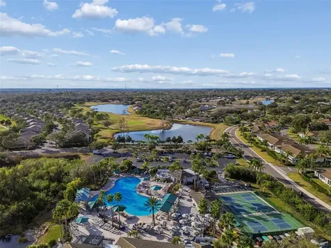 2006 Grantham Greens Drive Sun City Center FL 33573