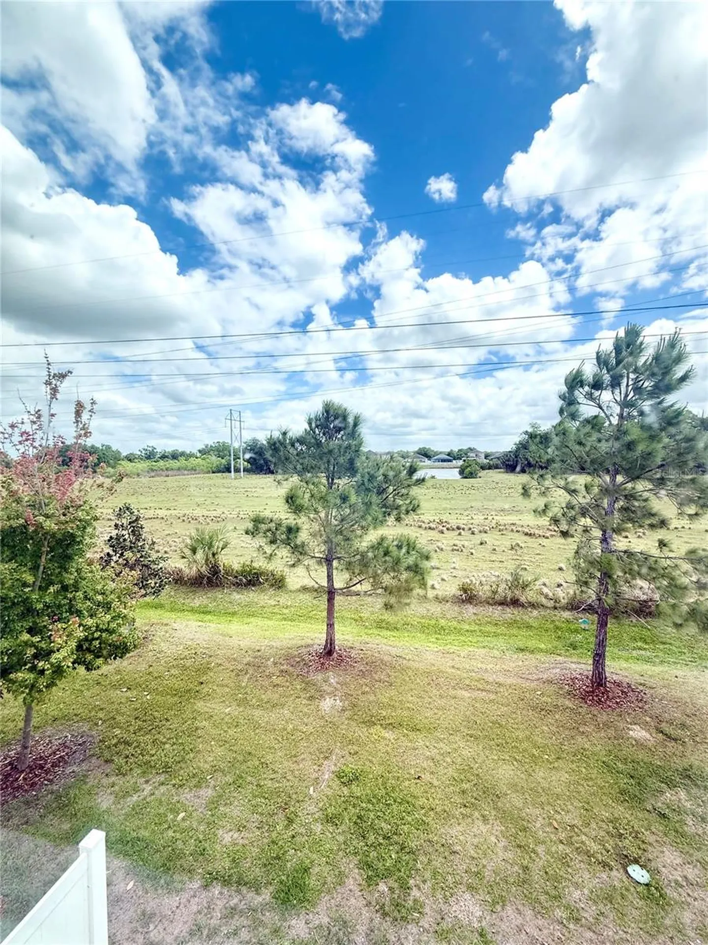 7008 Grand Elm Drive Riverview FL 33578