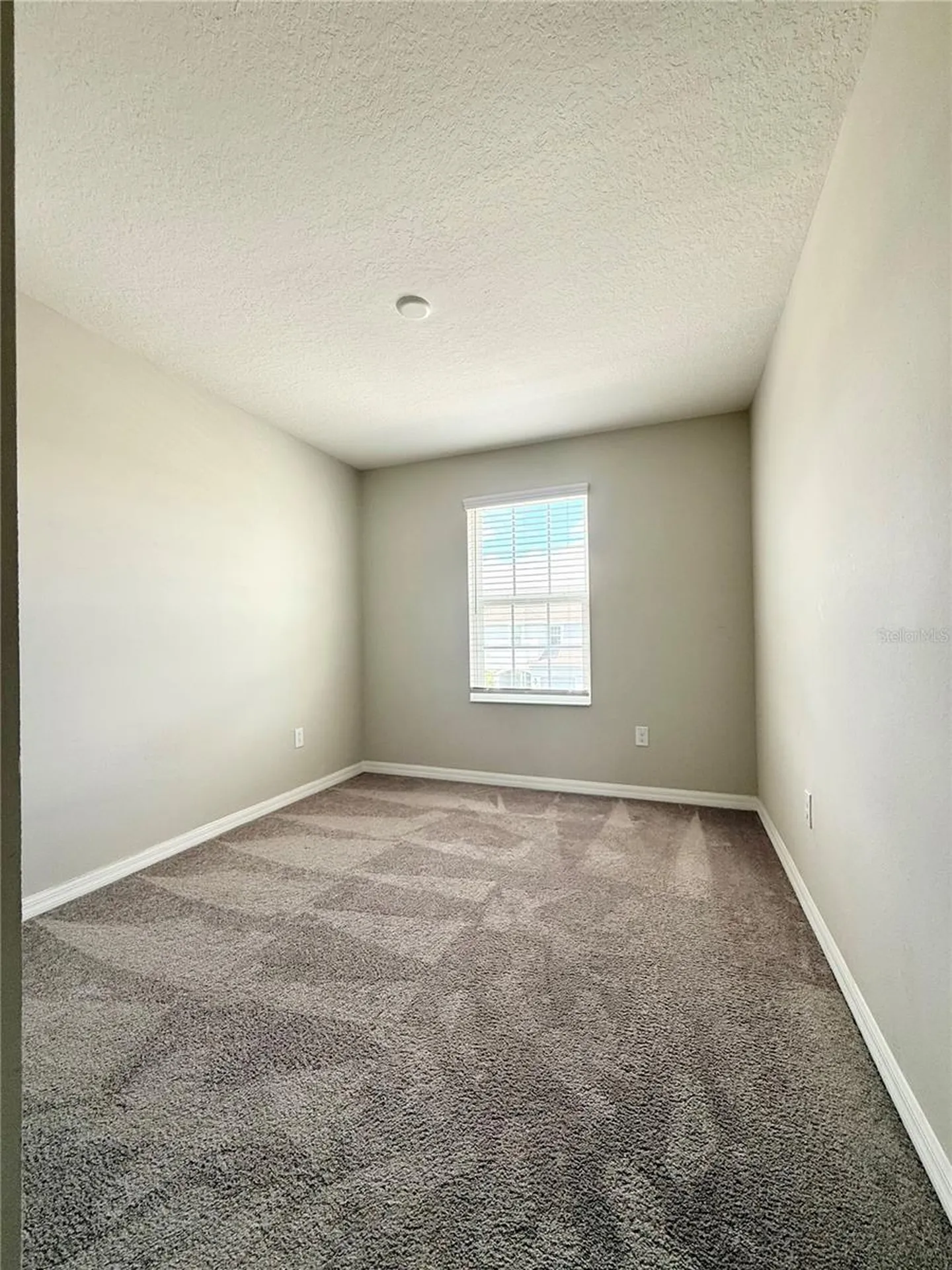 7008 Grand Elm Drive Riverview FL 33578