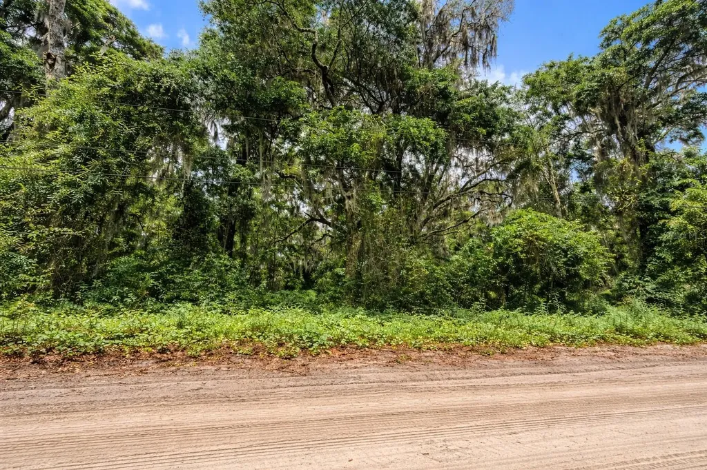 Tbd NE 52nd Court Anthony FL 32617