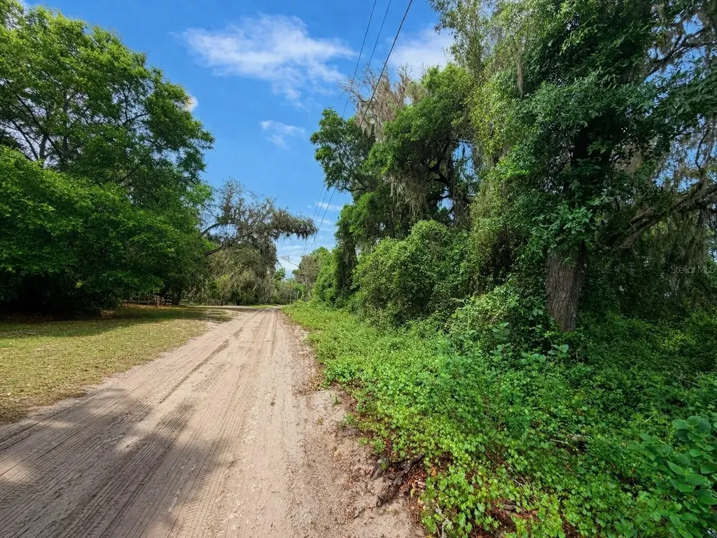 Tbd NE 52nd Court Anthony FL 32617