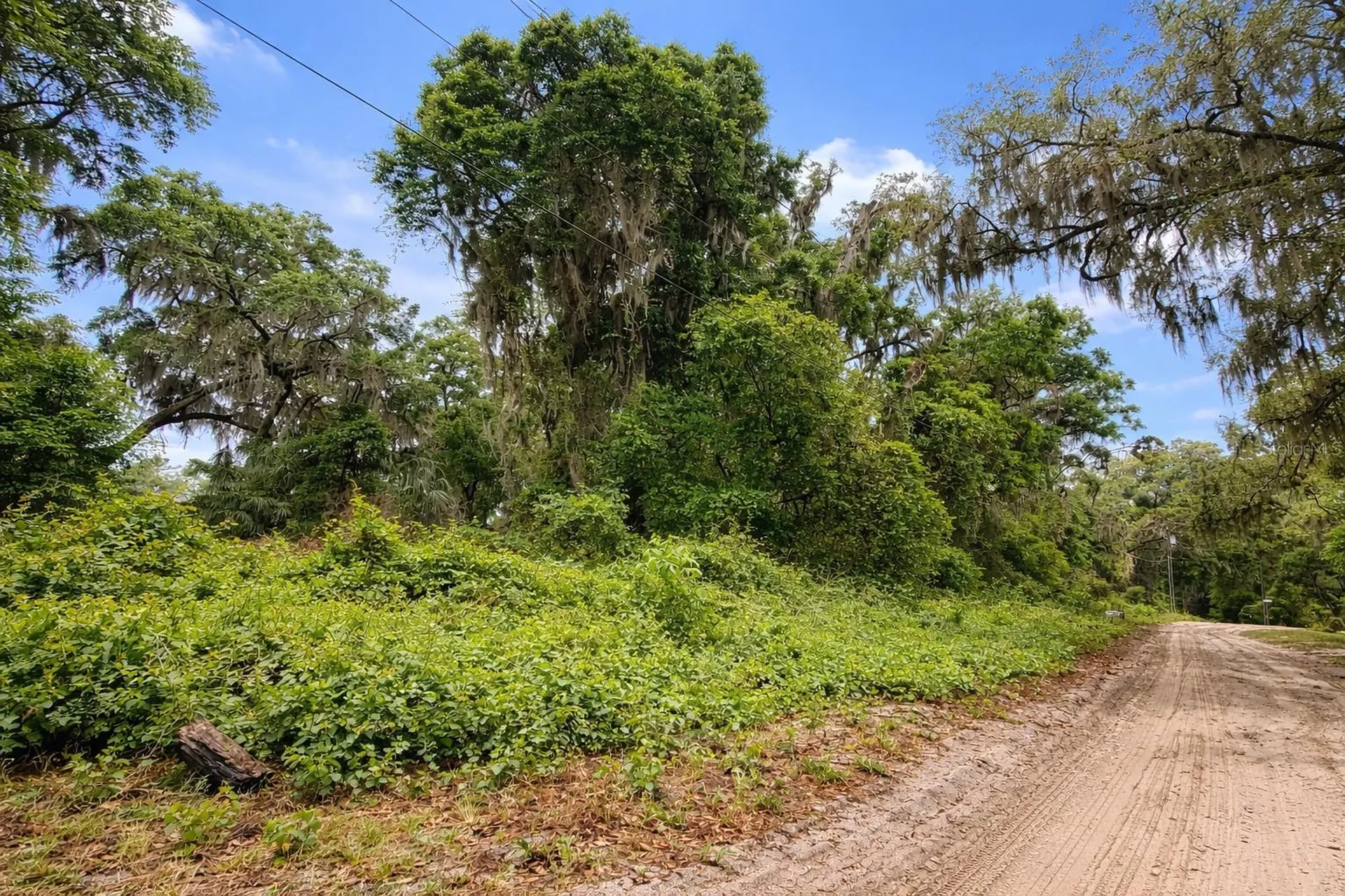 Tbd NE 52nd Court Anthony FL 32617