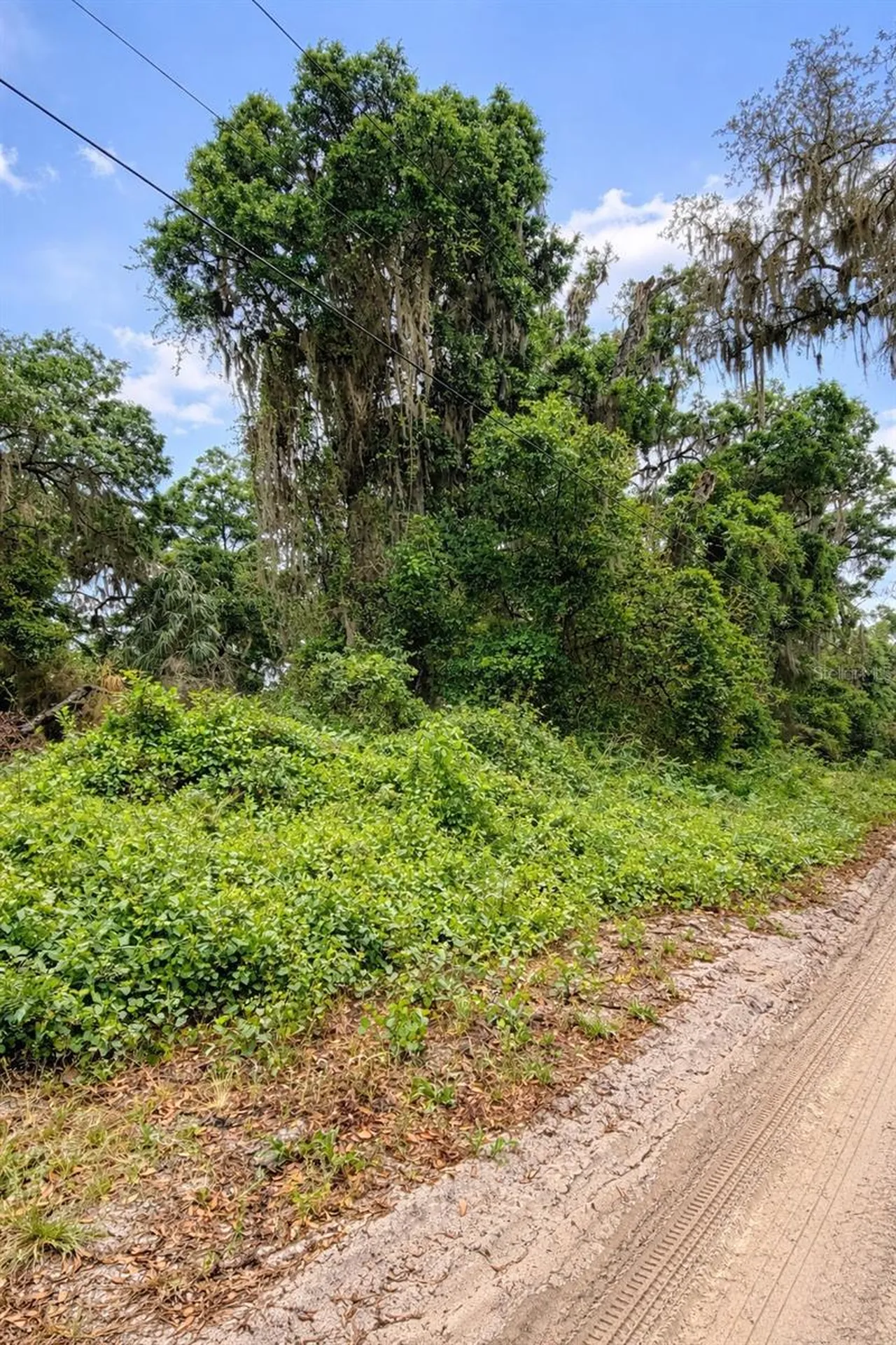 Tbd NE 52nd Court Anthony FL 32617