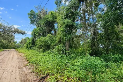 Tbd NE 52nd Court Anthony FL 32617