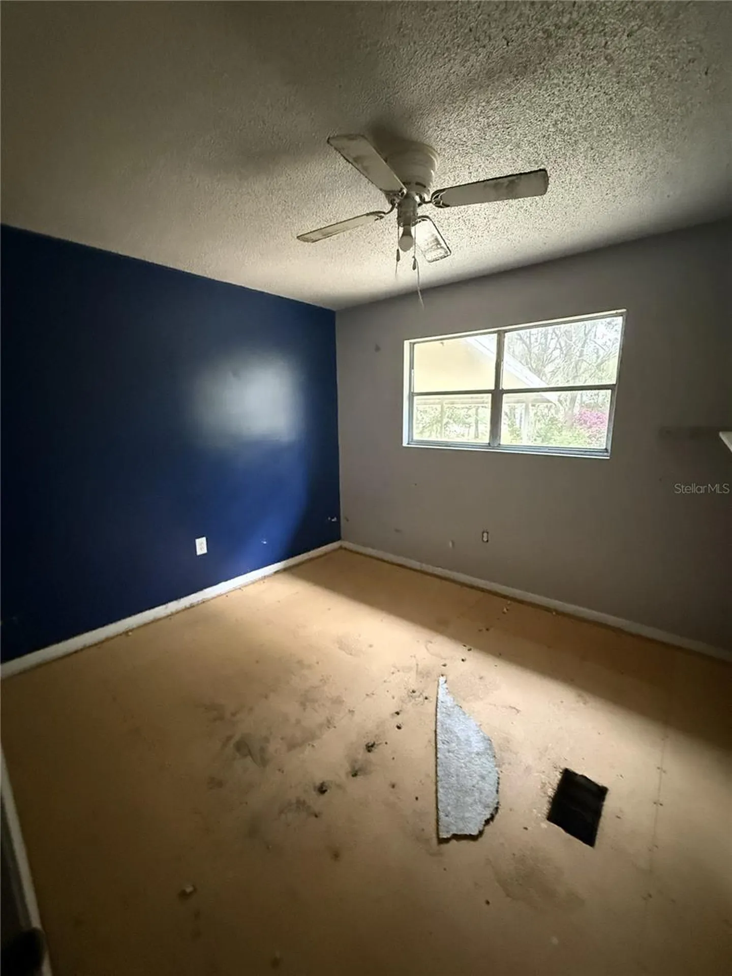 7981 SE 126th Place Belleview FL 34420