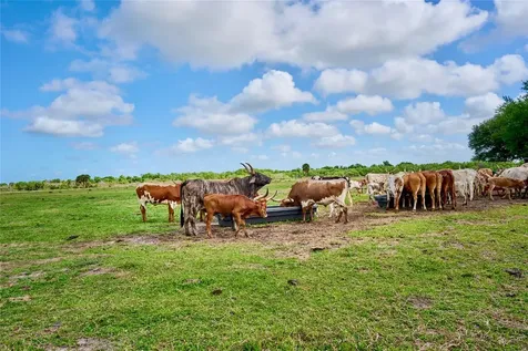 3200 River Ranch Boulevard River Ranch FL 33867