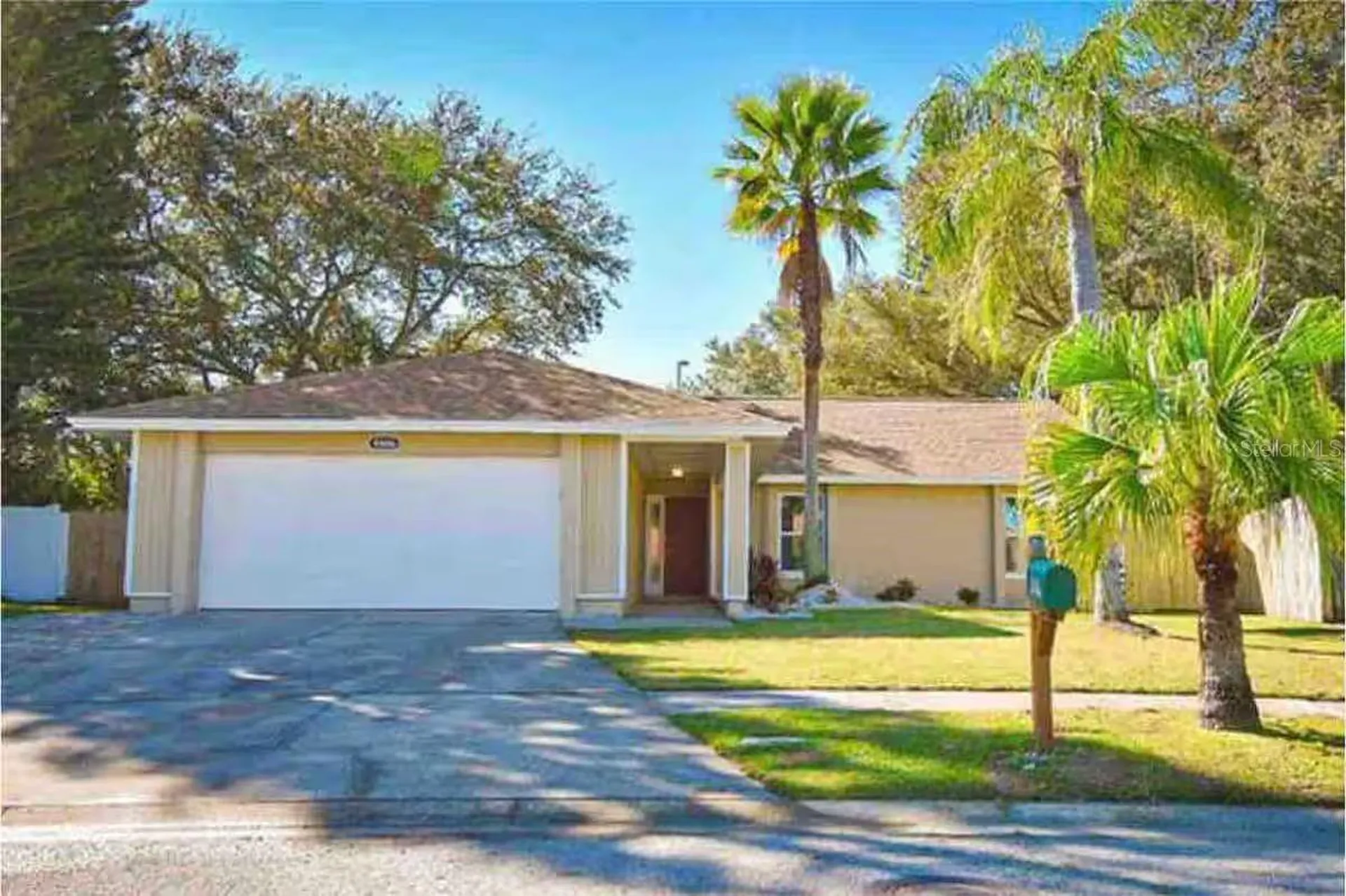 6506 Seafairer Drive Tampa FL 33615