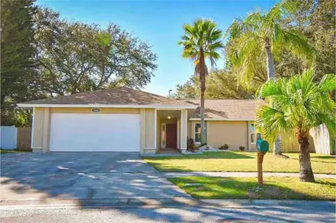 6506 Seafairer Drive Tampa FL 33615