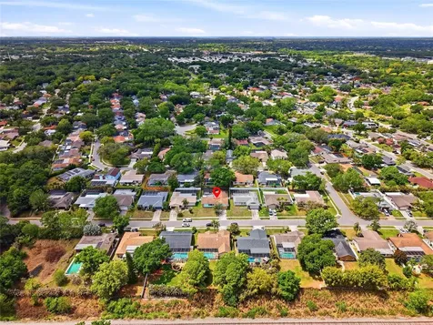 2089 Swan Lane Safety Harbor FL 34695