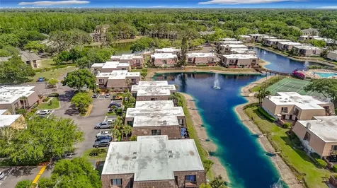 15426 E Pond Woods Drive Tampa FL 33618