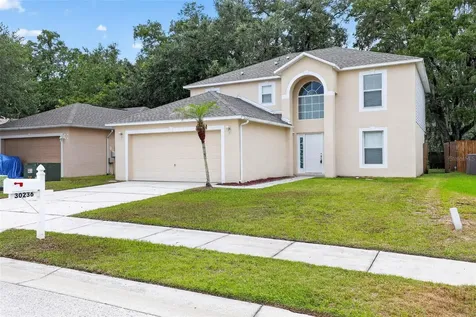 30236 Birdhouse Drive Wesley Chapel FL 33545