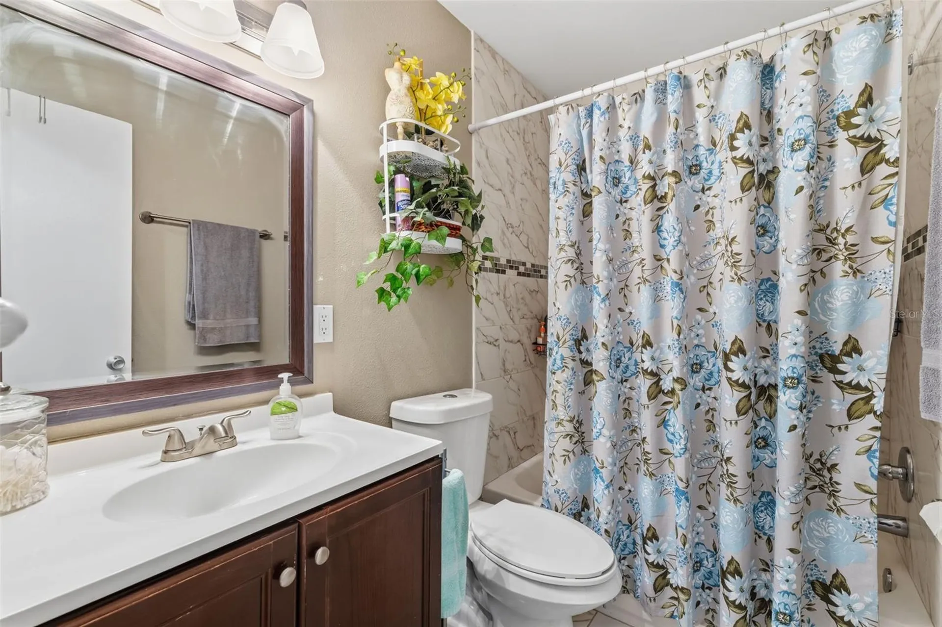 7103 Coronado Court Tampa FL 33615