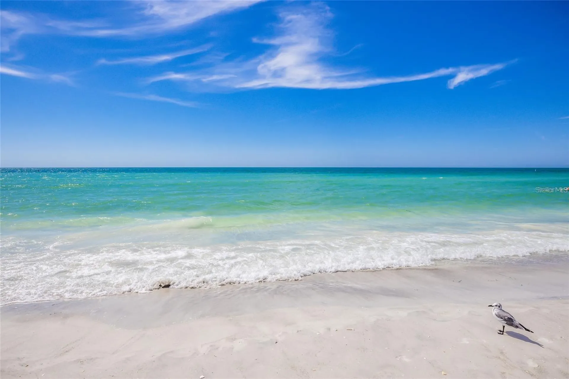 404 S Polk Drive Sarasota FL 34236