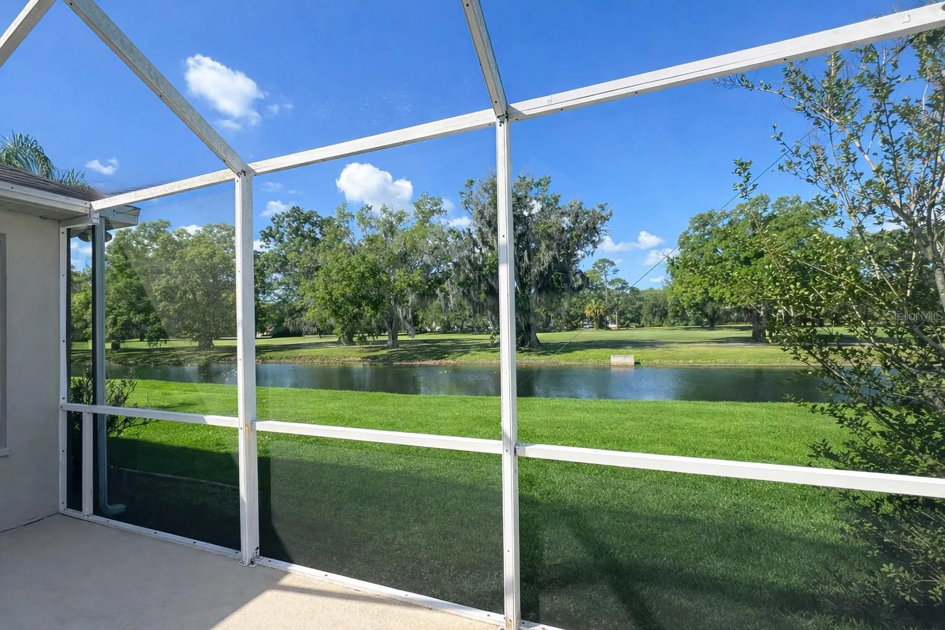 3712 Doral Street Palm Harbor FL 34685
