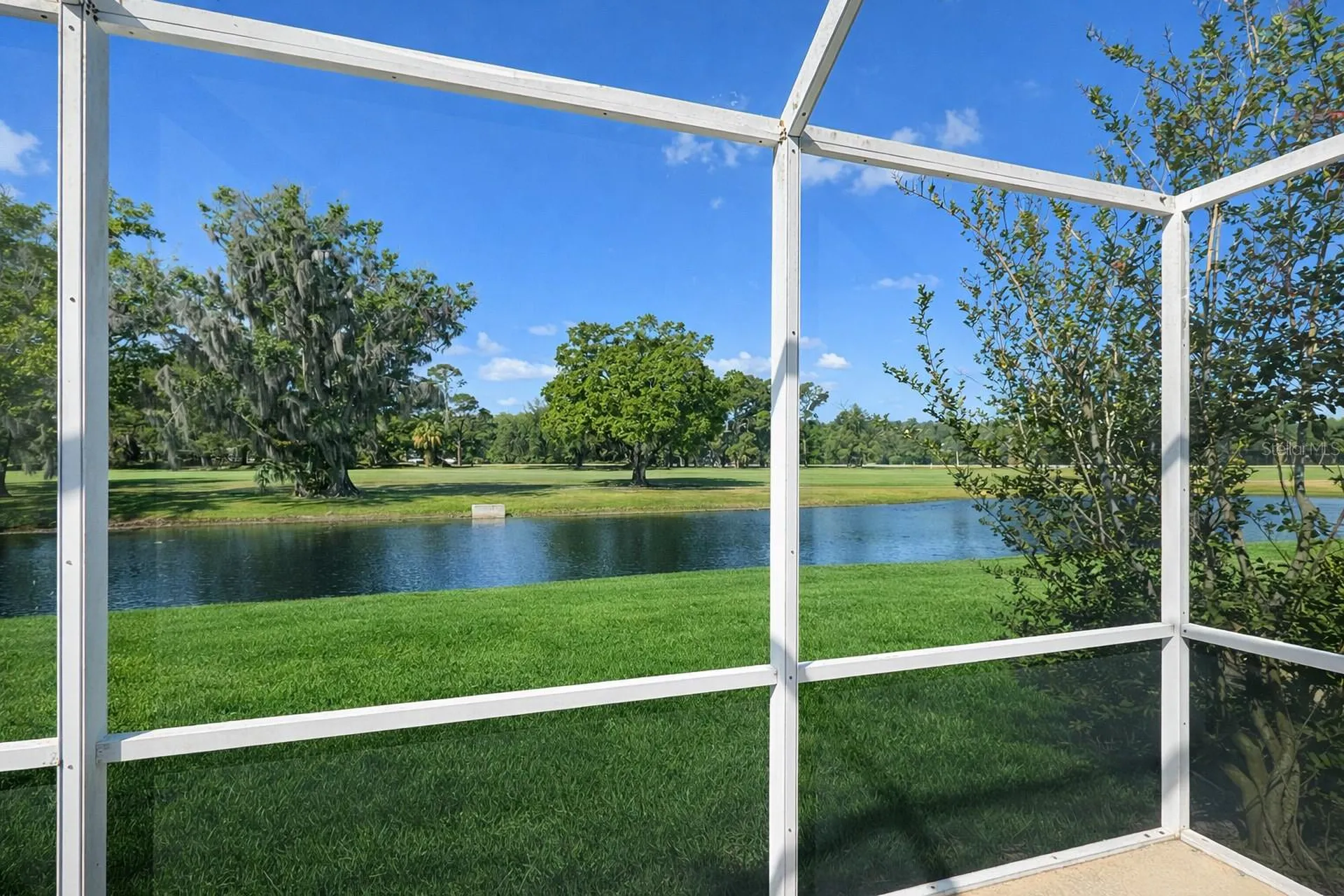 3712 Doral Street Palm Harbor FL 34685