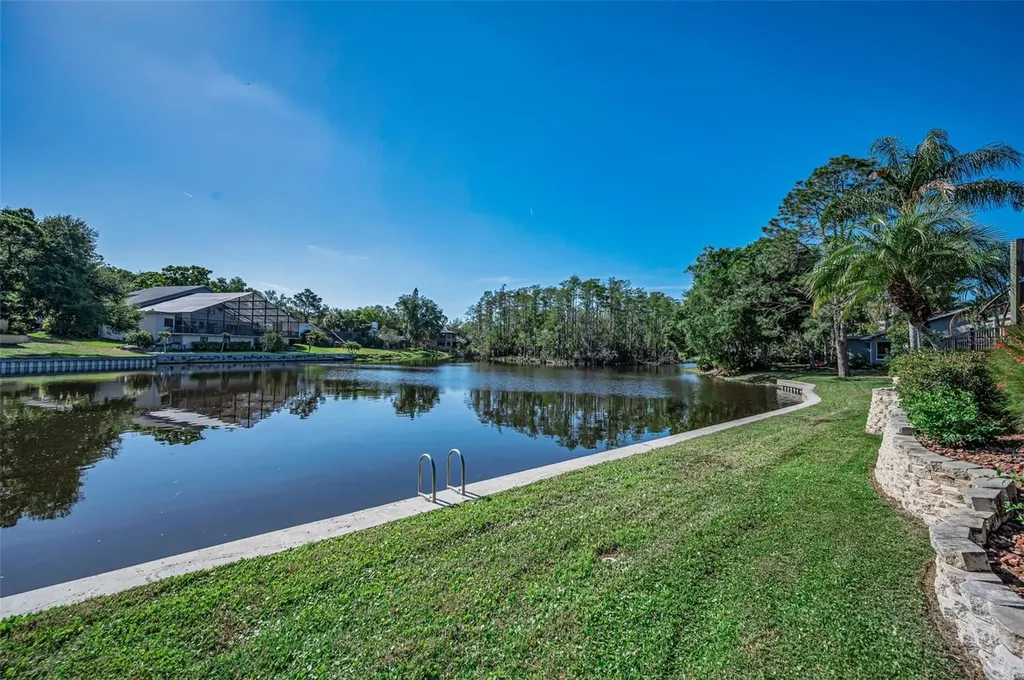 3216 Harvest Moon Drive Palm Harbor FL 34683