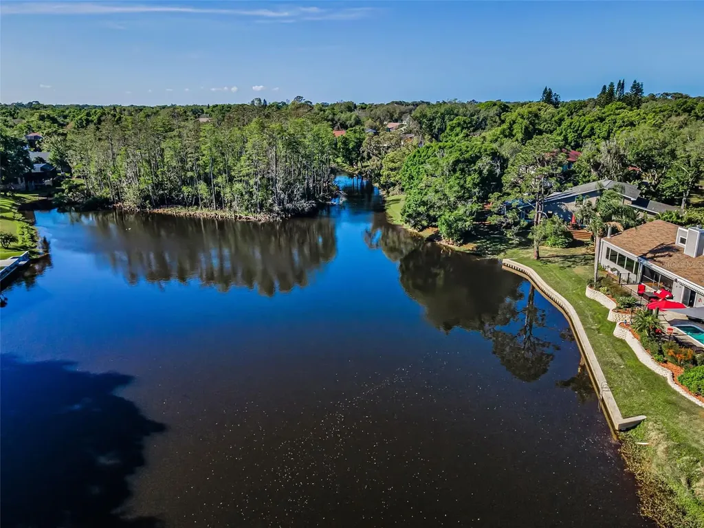 3216 Harvest Moon Drive Palm Harbor FL 34683