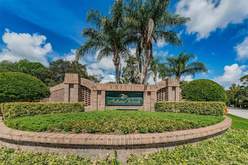 3216 Harvest Moon Drive Palm Harbor FL 34683