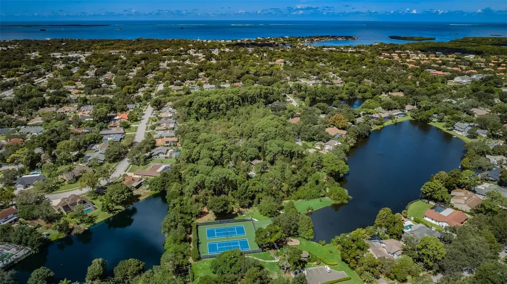 3216 Harvest Moon Drive Palm Harbor FL 34683