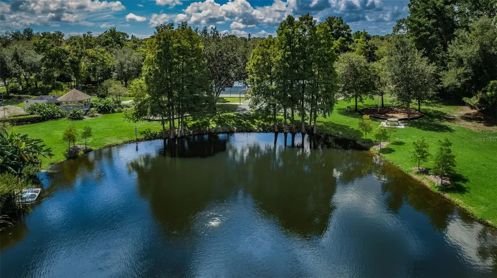 3216 Harvest Moon Drive Palm Harbor FL 34683