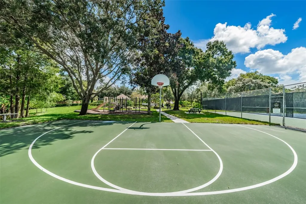 3216 Harvest Moon Drive Palm Harbor FL 34683