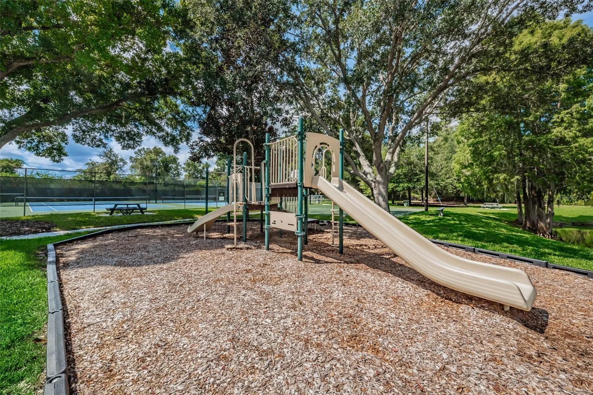 3216 Harvest Moon Drive Palm Harbor FL 34683
