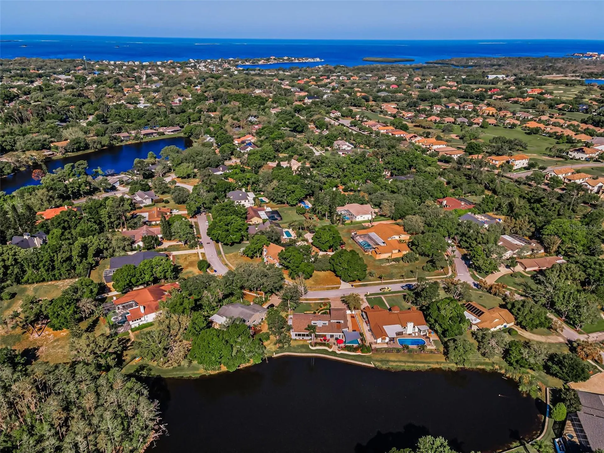 3216 Harvest Moon Drive Palm Harbor FL 34683