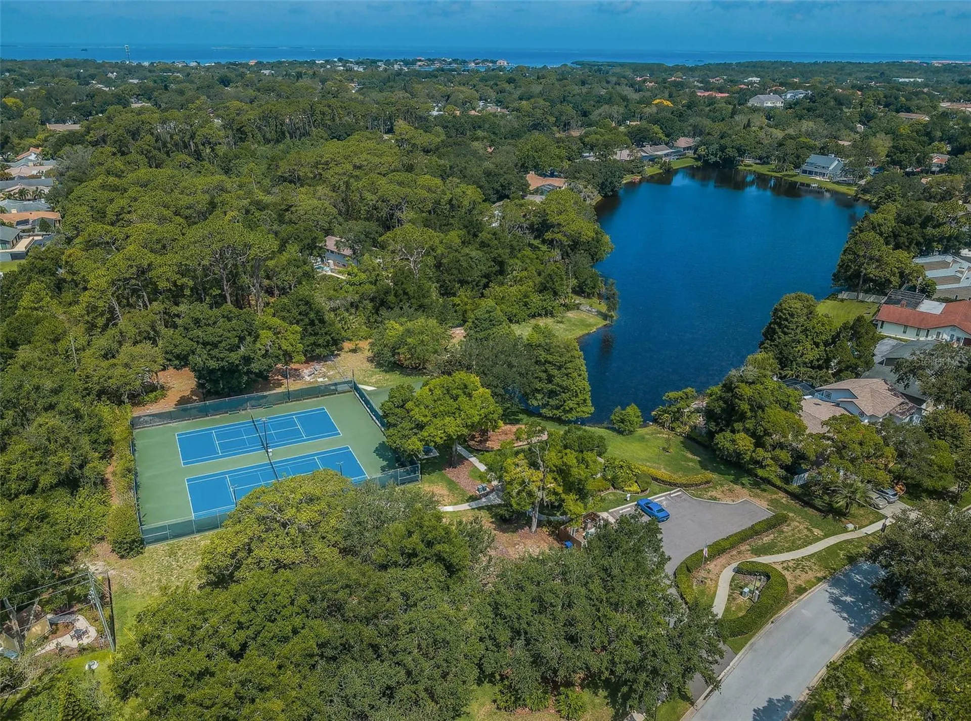 3216 Harvest Moon Drive Palm Harbor FL 34683