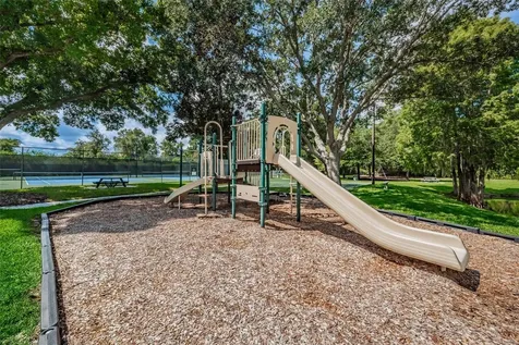 3216 Harvest Moon Drive Palm Harbor FL 34683