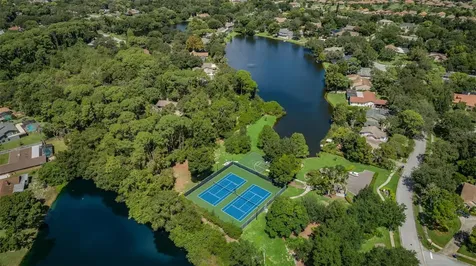 3216 Harvest Moon Drive Palm Harbor FL 34683