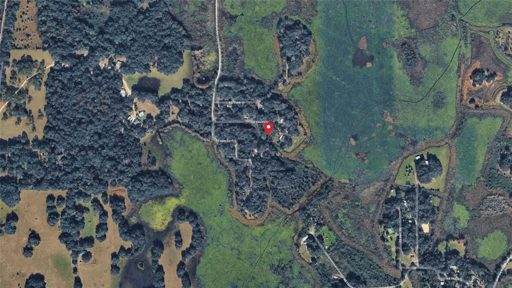 NE 155th Lane Citra FL 32113