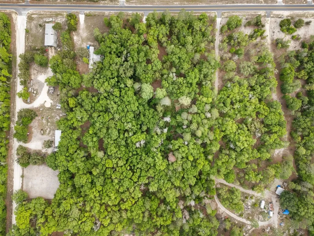 3100 NW 30th Street Bell FL 32619